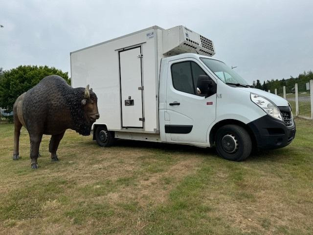 Renault Master - Furgonas šaldytuvas: foto 5 Renault Master - Furgonas šaldytuvas: foto 5