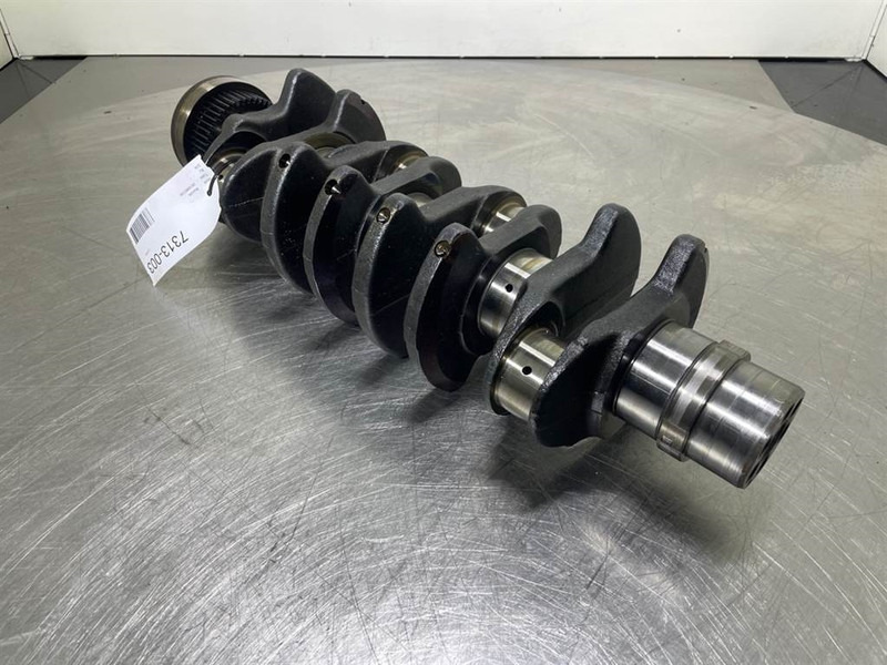 Deutz BF4M1013E-04201319-Crankshaft/Kurbelwelle/Krukas lizingą Deutz BF4M1013E-04201319-Crankshaft/Kurbelwelle/Krukas: foto 9