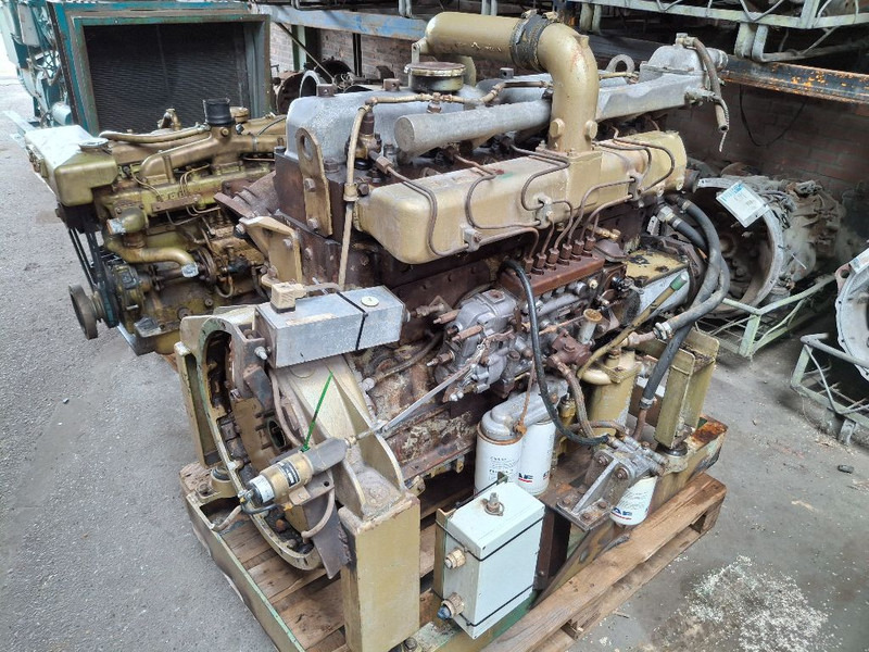 DAF 825 TURBO (DHU825) - Variklis: foto 1 DAF 825 TURBO (DHU825) - Variklis: foto 1