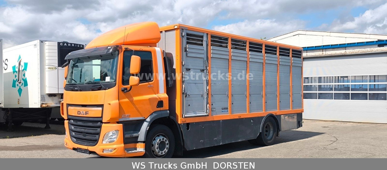 DAF CF 400 Menke Einstock Viehtransporter - Sunkvežimis žirgams vežti: foto 3 DAF CF 400 Menke Einstock Viehtransporter - Sunkvežimis žirgams vežti: foto 3