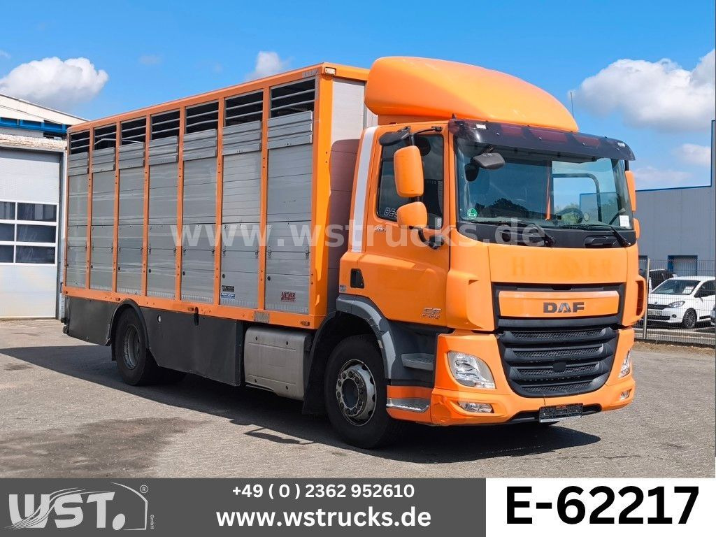 DAF CF 400 Menke Einstock - Sunkvežimis žirgams vežti: foto 1 DAF CF 400 Menke Einstock - Sunkvežimis žirgams vežti: foto 1