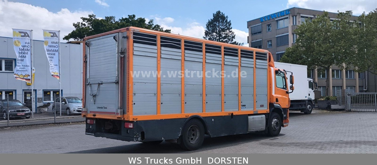 DAF CF 400 Menke Einstock - Sunkvežimis žirgams vežti: foto 5 DAF CF 400 Menke Einstock - Sunkvežimis žirgams vežti: foto 5