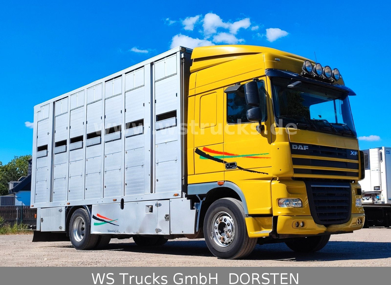 DAF XF 410 SC Menke Doppelstock - Sunkvežimis žirgams vežti: foto 2 DAF XF 410 SC Menke Doppelstock - Sunkvežimis žirgams vežti: foto 2