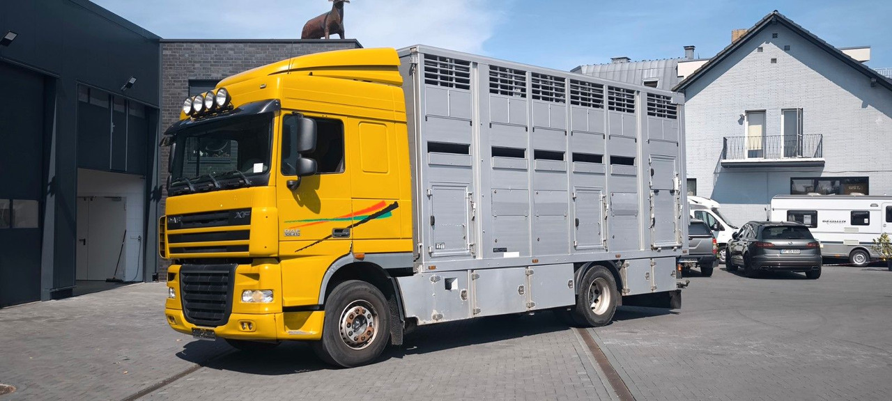 DAF XF 410 SC Menke Doppelstock - Sunkvežimis žirgams vežti: foto 5 DAF XF 410 SC Menke Doppelstock - Sunkvežimis žirgams vežti: foto 5