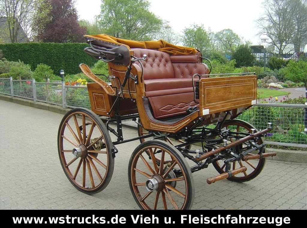 Exclusiver Doktorwagen Inzahlungn. v. Pferden - Gyvulių pervežimo priekaba: foto 4 Exclusiver Doktorwagen Inzahlungn. v. Pferden - Gyvulių pervežimo priekaba: foto 4