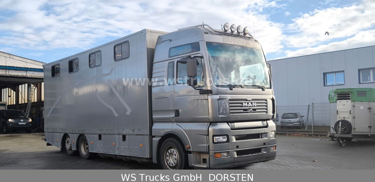 MAN TGA 26.480 FG 6x2 Pferdetransporter Luft/Luft - Sunkvežimis žirgams vežti: foto 3 MAN TGA 26.480 FG 6x2 Pferdetransporter Luft/Luft - Sunkvežimis žirgams vežti: foto 3