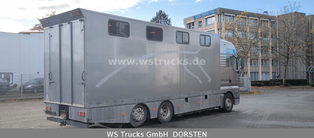 MAN TGA 26.480 FG 6x2 Pferdetransporter Luft/Luft - Sunkvežimis žirgams vežti: foto 4 MAN TGA 26.480 FG 6x2 Pferdetransporter Luft/Luft - Sunkvežimis žirgams vežti: foto 4