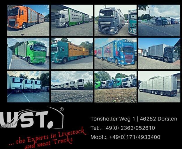 Menke-Janzen Menke 3 Stock Ausahrbares Dach Vollalu Typ 2 - Gyvulių pervežimo priekaba: foto 4 Menke-Janzen Menke 3 Stock Ausahrbares Dach Vollalu Typ 2 - Gyvulių pervežimo priekaba: foto 4
