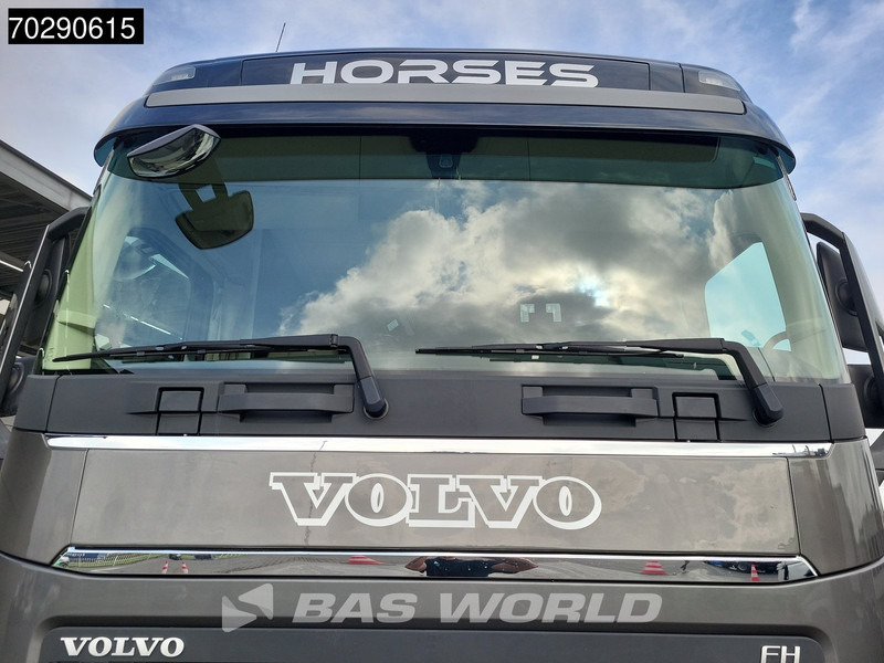 Sunkvežimis žirgams vežti Volvo FH 420 FH 4X2 NL-Truck STX Horse truck + Living 4 Horses Navi ACC Euro 6: foto 13