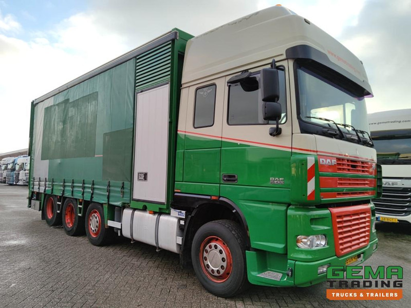 DAF FAK XF95.430 8x2 SuperSpaceCab Euro3 - CurtainSider 7.31m + Ramp 16T - MachineTransporter - 6 Persons (V558) - Autovežis sunkvežimis: foto 3 DAF FAK XF95.430 8x2 SuperSpaceCab Euro3 - CurtainSider 7.31m + Ramp 16T - MachineTransporter - 6 Persons (V558) - Autovežis sunkvežimis: foto 3