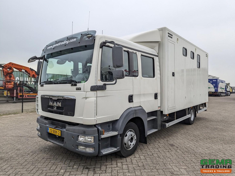 MAN TGL 12.180 4x2 DoKa 7 pers. Euro5 EEV - Paardenwagen 2-Paards - 147.000km! - MARGE - Sunkvežimis žirgams vežti: foto 3 MAN TGL 12.180 4x2 DoKa 7 pers. Euro5 EEV - Paardenwagen 2-Paards - 147.000km! - MARGE - Sunkvežimis žirgams vežti: foto 3