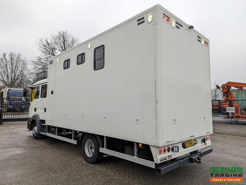 MAN TGL 12.180 4x2 DoKa 7 pers. Euro5 EEV - Paardenwagen 2-Paards - 147.000km! - MARGE - Sunkvežimis žirgams vežti: foto 4 MAN TGL 12.180 4x2 DoKa 7 pers. Euro5 EEV - Paardenwagen 2-Paards - 147.000km! - MARGE - Sunkvežimis žirgams vežti: foto 4