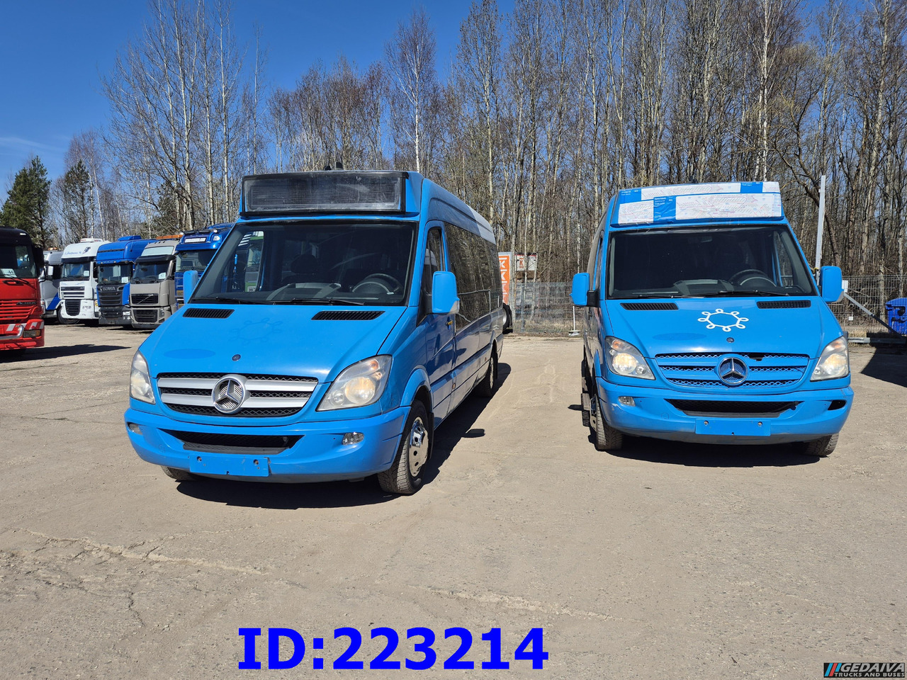 MERCEDES-BENZ Sprinter 316 VIP Euro5 (2pcs. available) - Turistinis autobusas: foto 2 MERCEDES-BENZ Sprinter 316 VIP Euro5 (2pcs. available) - Turistinis autobusas: foto 2