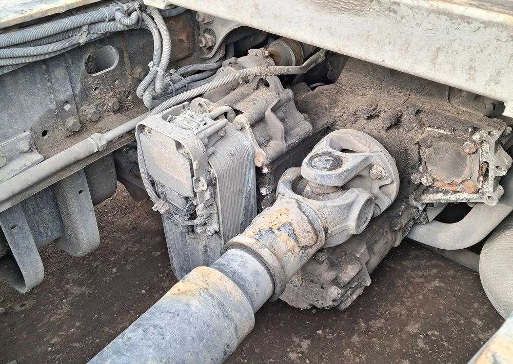 Vilkikas MAN Dostępne 3 szt. Standard i Mega TGX 18.440: foto 14