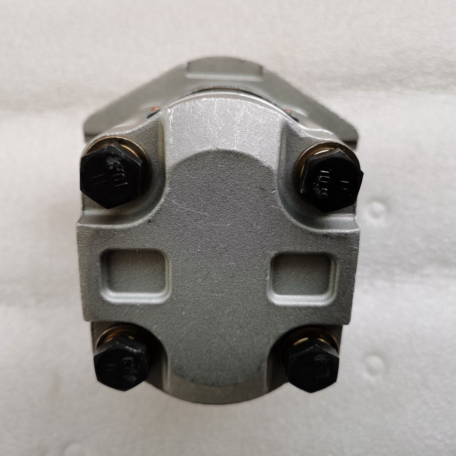 Nauja Hidraulinis siurblys - Ratinis krautuvas QINGDAO PROMISING Hydraulic Pump CBWA-F314-AL5Φ9: foto 6