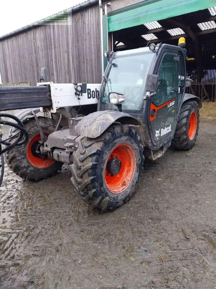 Bobcat 30.60 - Teleskopinis krautuvas: foto 2 Bobcat 30.60 - Teleskopinis krautuvas: foto 2