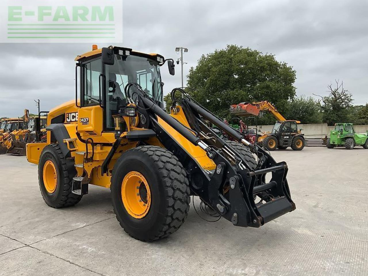 JCB 437 wheeled loading shovel (st23075) - Mini ekskavatorius: foto 3 JCB 437 wheeled loading shovel (st23075) - Mini ekskavatorius: foto 3