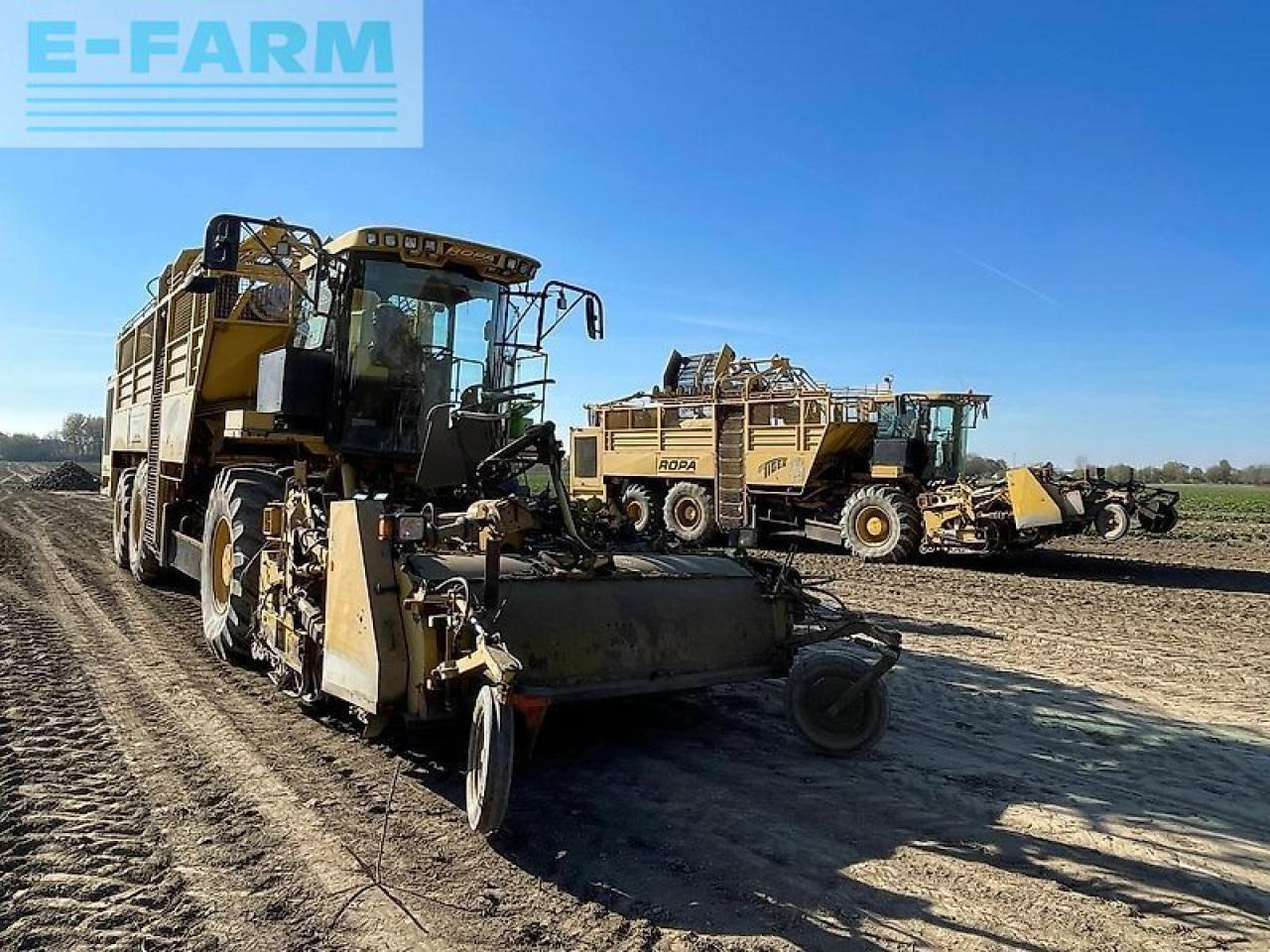 Runkelių kombainas Ropa euro tiger: foto 40 Runkelių kombainas Ropa euro tiger: foto 40