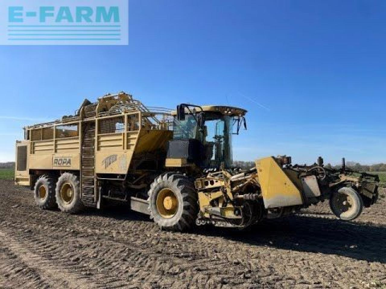 Runkelių kombainas Ropa euro tiger: foto 41 Runkelių kombainas Ropa euro tiger: foto 41