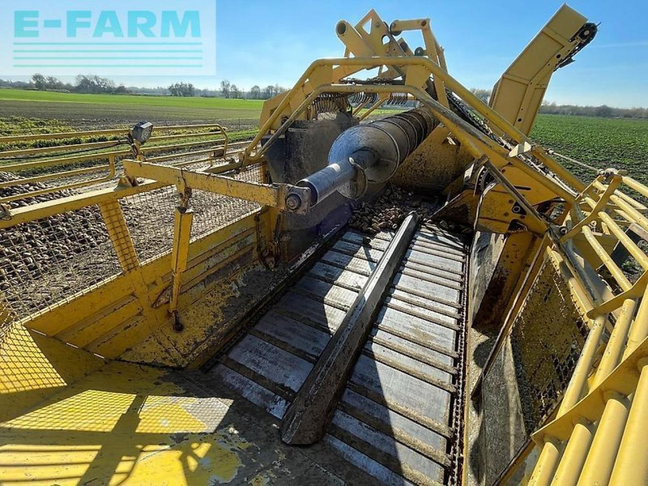 Runkelių kombainas Ropa euro tiger: foto 25 Runkelių kombainas Ropa euro tiger: foto 25