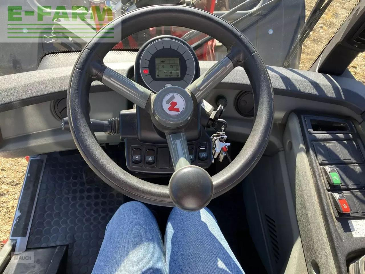 Ratinis krautuvas Weidemann 3080 lp radlader mietrückläufer: foto 11