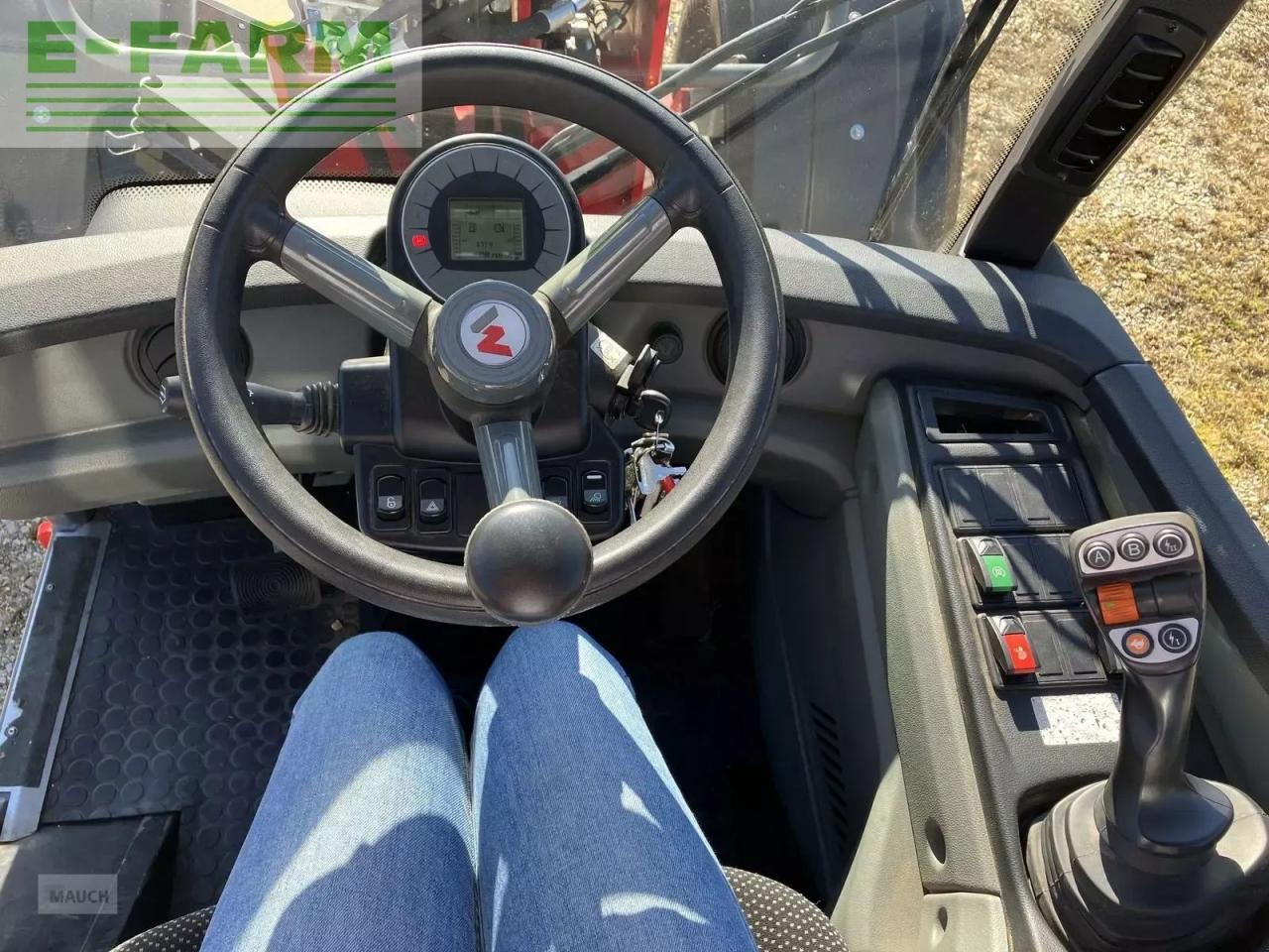 Ratinis krautuvas Weidemann 3080 lp radlader mietrückläufer: foto 12