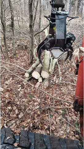 Jak 250 Fällgreifer - Greiferis: foto 2 Jak 250 Fällgreifer - Greiferis: foto 2