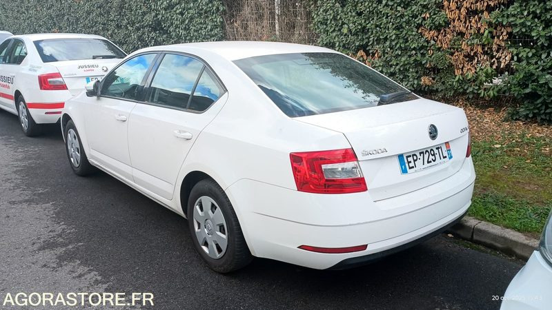 EP-729-TL - Non Roulant - SKODA OCTAVIA - VP -  349 390 Kms - Lengvasis automobilis: foto 3 EP-729-TL - Non Roulant - SKODA OCTAVIA - VP -  349 390 Kms - Lengvasis automobilis: foto 3