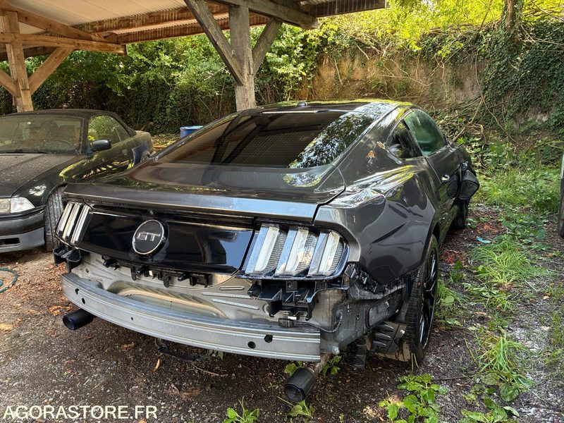 FORD MUSTANG FASTBACK 5.0 V8 - Lengvasis automobilis: foto 4 FORD MUSTANG FASTBACK 5.0 V8 - Lengvasis automobilis: foto 4