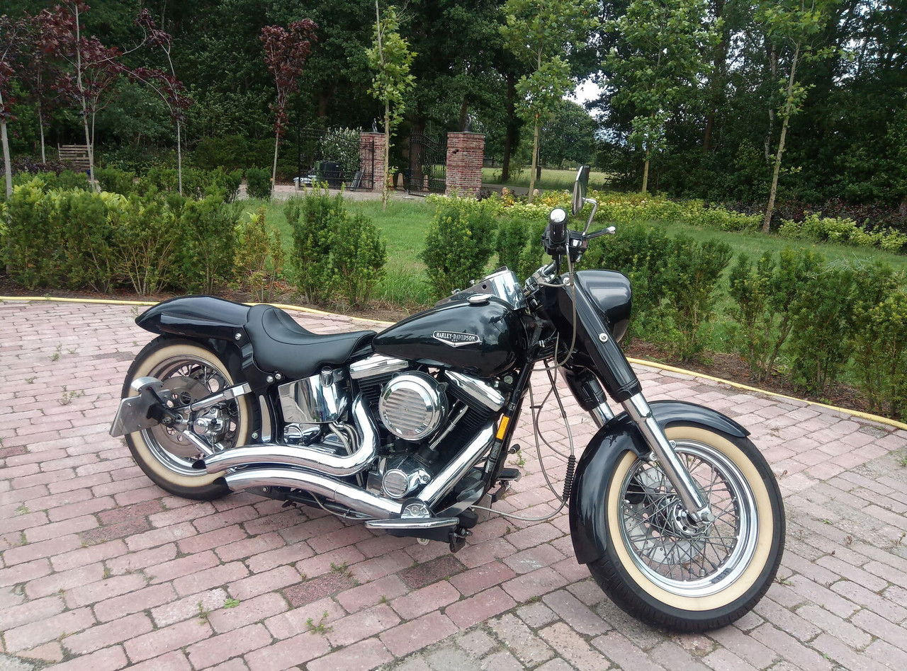 Harley-Davidson Custom Custom - Motociklas: foto 4 Harley-Davidson Custom Custom - Motociklas: foto 4