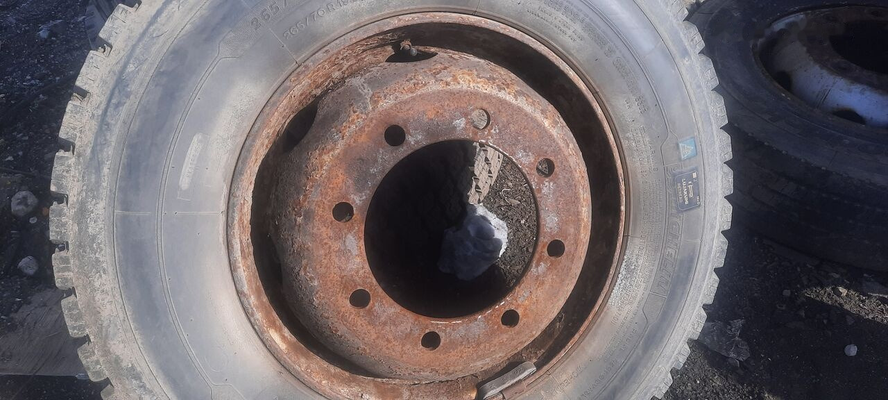 Michelin 295*80R22.5 255*70 \ 275*70* 265\70R19.5 lizingą Michelin 295*80R22.5 255*70 \ 275*70* 265\70R19.5: foto 17