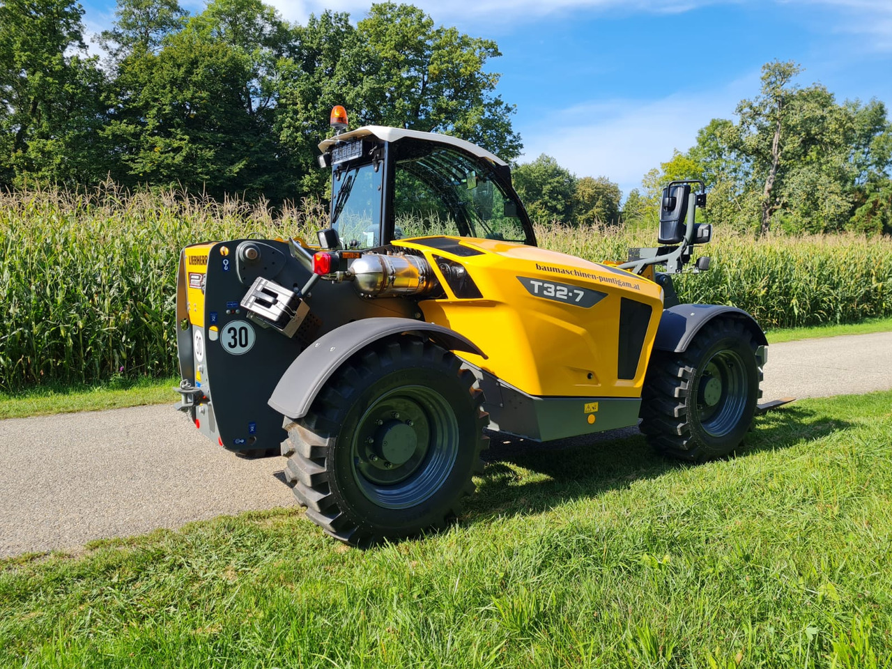 Teleskopinis krautuvas LIEBHERR T 32-7: foto 9