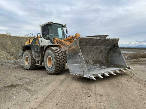 Liebherr L576 - Ratinis krautuvas: foto 4 Liebherr L576 - Ratinis krautuvas: foto 4