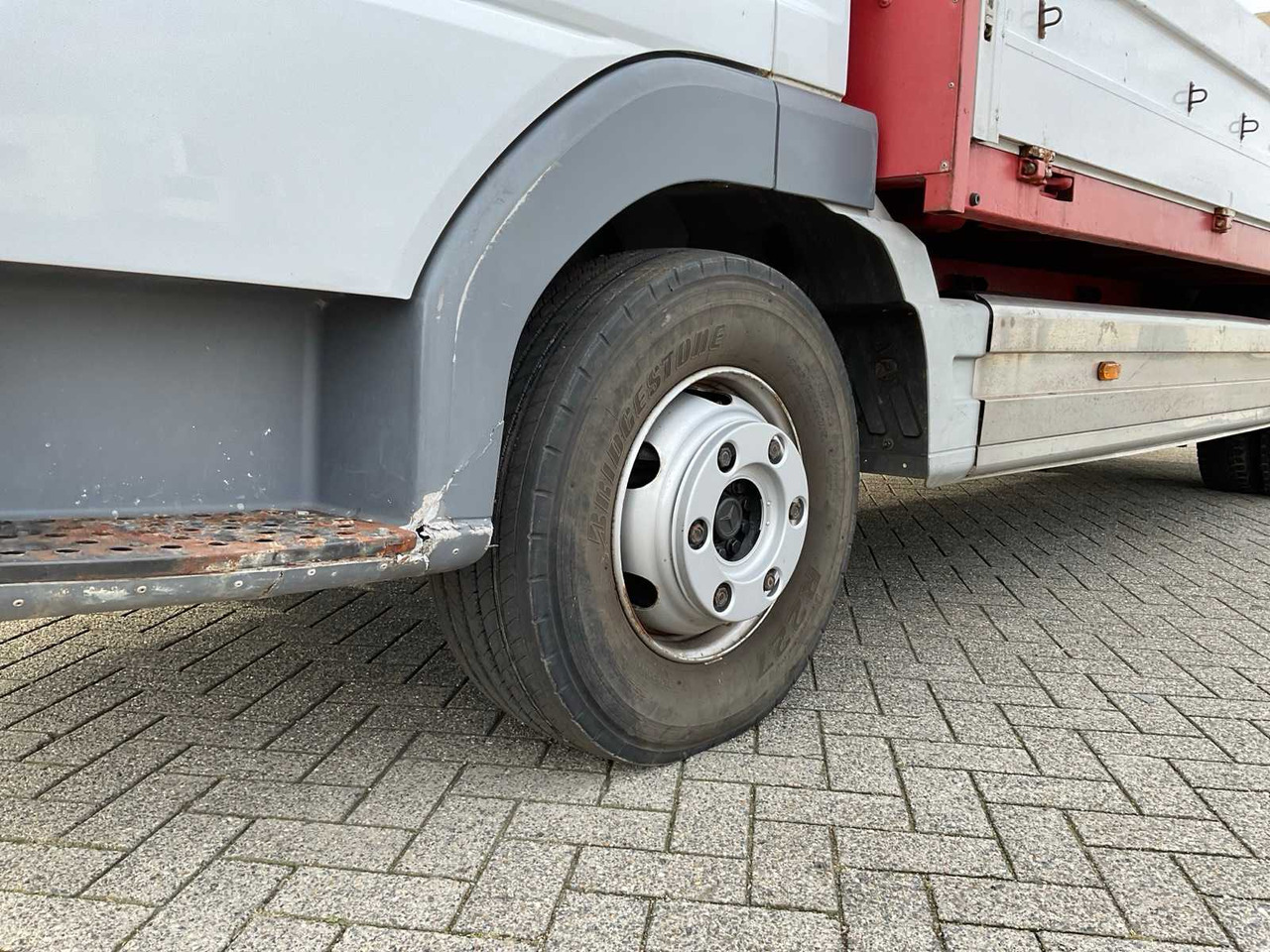 Sunkvežimis MERCEDES-BENZ TRUCK: foto 12