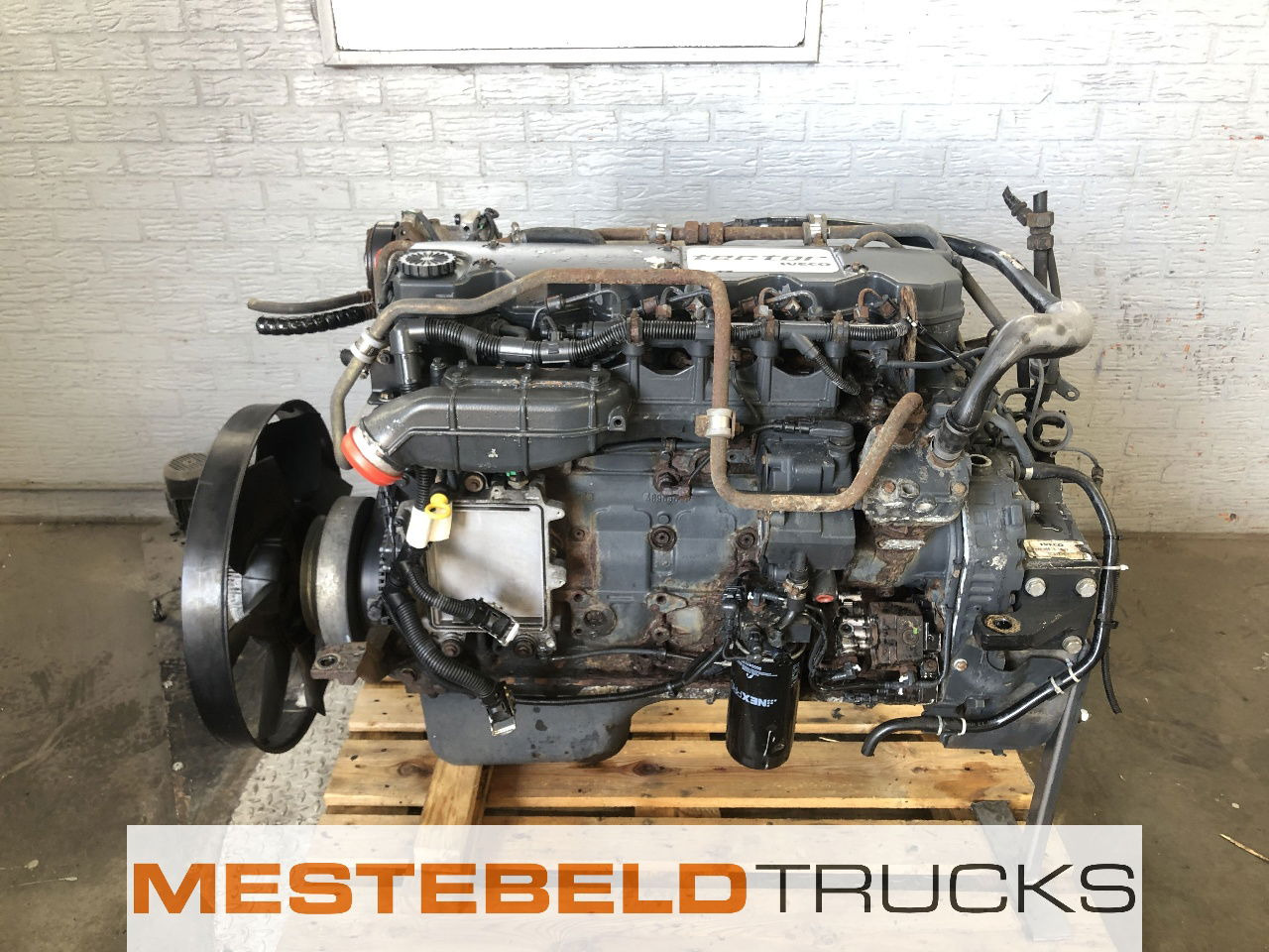 Iveco Motor tector F4AE3681B E4 - Variklis - Sunkvežimis: foto 1 Iveco Motor tector F4AE3681B E4 - Variklis - Sunkvežimis: foto 1