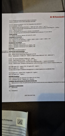 Motociklas Moto Kawasaki Ninja 1000SX (2021-17.011 km-VIN:JKBZT02KKA012927): foto 13