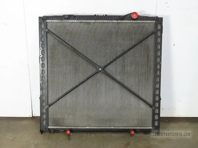 DAF 2125896 Radiateur DAF XF 106 - Radiatorius - Sunkvežimis: foto 1 DAF 2125896 Radiateur DAF XF 106 - Radiatorius - Sunkvežimis: foto 1