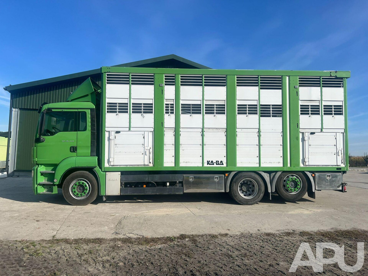 MAN TGS 26.440 DO PRZEWOZU BYDŁA - Gyvulių pervežimo sunkvežimis: foto 2 MAN TGS 26.440 DO PRZEWOZU BYDŁA - Gyvulių pervežimo sunkvežimis: foto 2