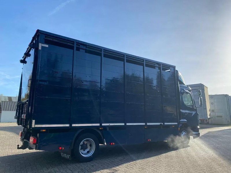 DAF LF 280 - Gyvulių pervežimo sunkvežimis: foto 3 DAF LF 280 - Gyvulių pervežimo sunkvežimis: foto 3