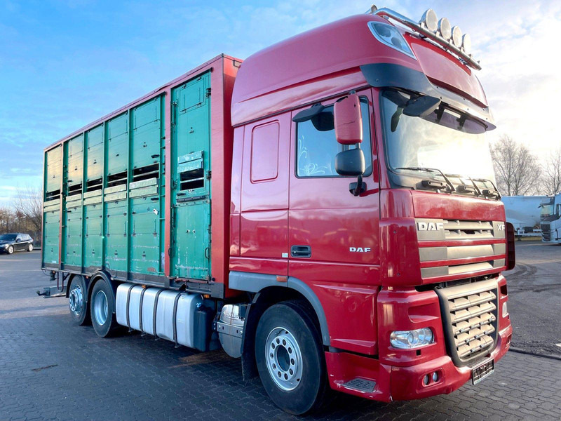 DAF XF 105.460 2-Stock Finkl Viehaufbau / Lenkachs - Gyvulių pervežimo sunkvežimis: foto 1 DAF XF 105.460 2-Stock Finkl Viehaufbau / Lenkachs - Gyvulių pervežimo sunkvežimis: foto 1