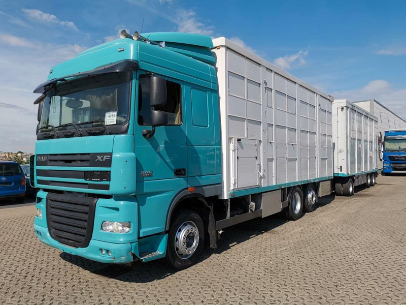 DAF XF 105.460 - Animal transporter + trailer - Gyvulių pervežimo sunkvežimis: foto 1 DAF XF 105.460 - Animal transporter + trailer - Gyvulių pervežimo sunkvežimis: foto 1