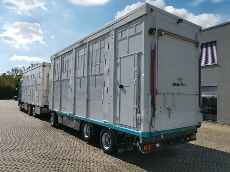 DAF XF 105.460 - Animal transporter + trailer - Gyvulių pervežimo sunkvežimis: foto 4 DAF XF 105.460 - Animal transporter + trailer - Gyvulių pervežimo sunkvežimis: foto 4