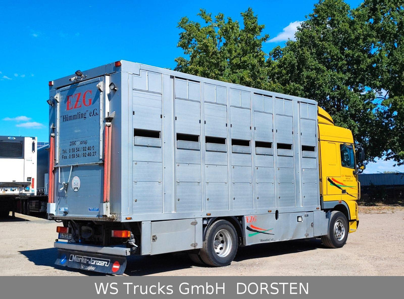 DAF XF410 Menke Doppelstock - Gyvulių pervežimo sunkvežimis: foto 5 DAF XF410 Menke Doppelstock - Gyvulių pervežimo sunkvežimis: foto 5