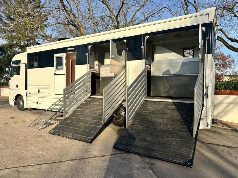 MAN TGX 26.440 - Horse transporter - Sunkvežimis žirgams vežti: foto 5 MAN TGX 26.440 - Horse transporter - Sunkvežimis žirgams vežti: foto 5