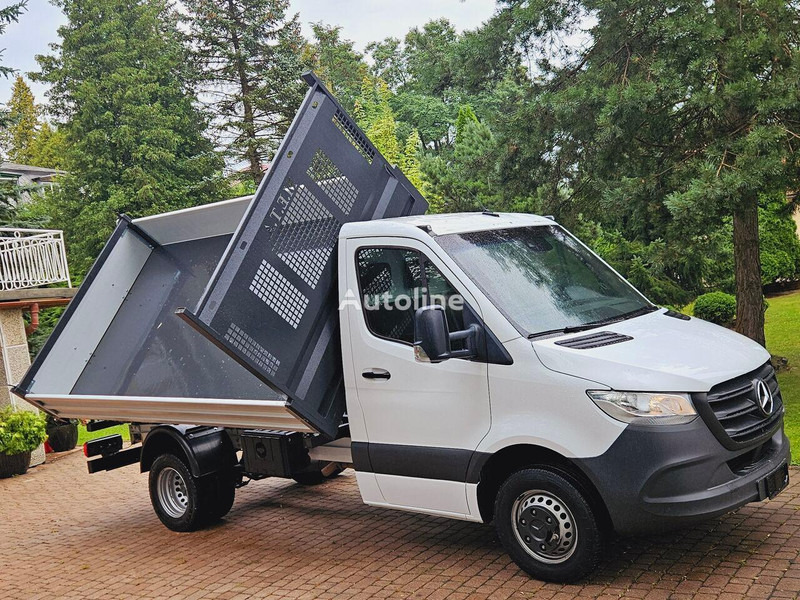Mercedes-Benz Sprinter 51 9 CDI 3 way tipper - Mažas savivartis: foto 2 Mercedes-Benz Sprinter 51 9 CDI 3 way tipper - Mažas savivartis: foto 2