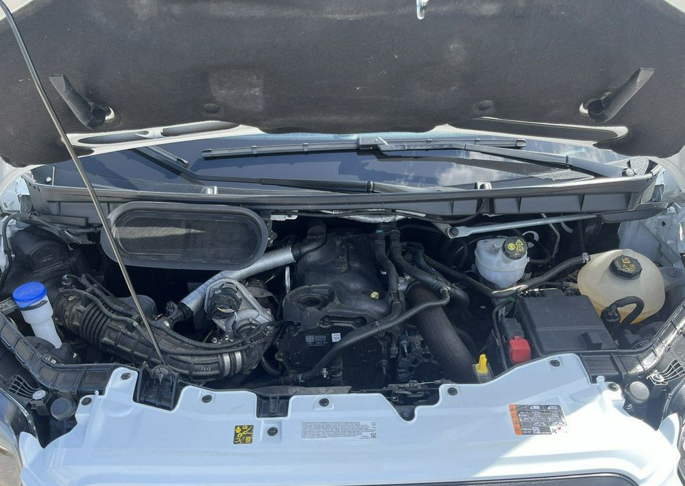 Furgonas su krovinių dėže Ford Transit: foto 17