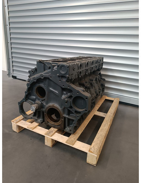 Cilindrų blokas - Sunkvežimis DAF XF106 Euro 6: foto 8