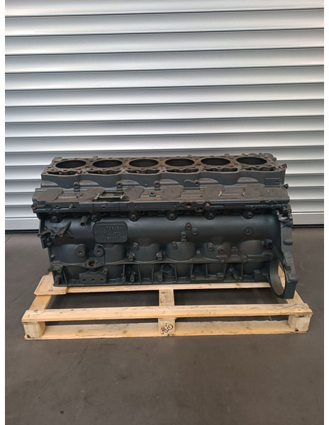 Cilindrų blokas - Sunkvežimis DAF XF106 Euro 6: foto 9