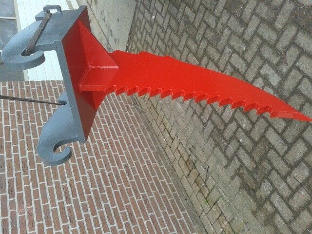 AGM wortelmes - Giluminis purentuvas: foto 3 AGM wortelmes - Giluminis purentuvas: foto 3