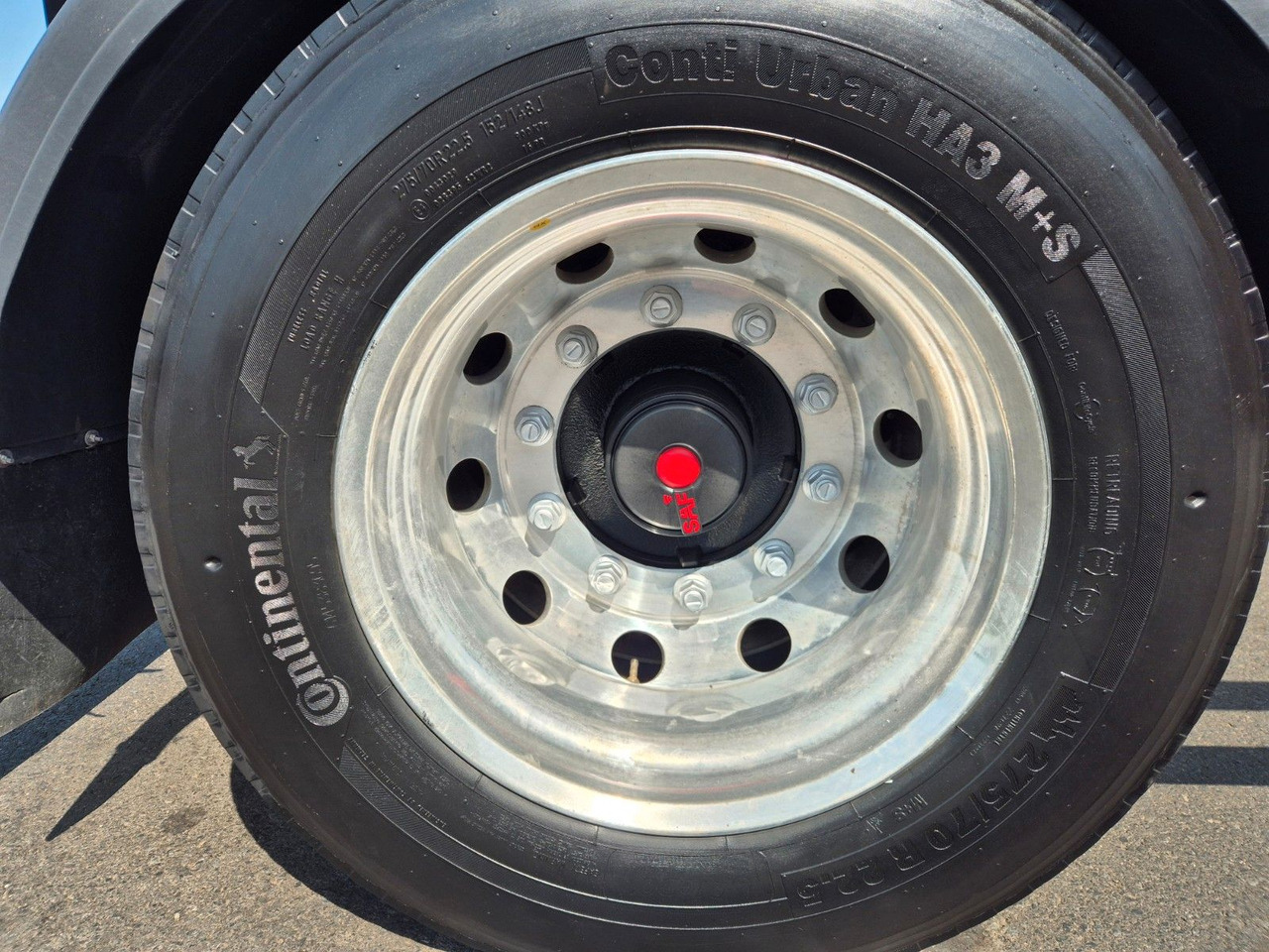 Miškovežio priekaba PAVIC HTA 20 QSTE 690 SAF Achsen Alu-Felgen: foto 13